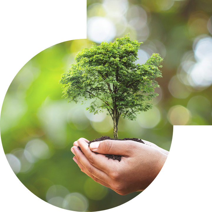 关怀人类、文化、环境与社会